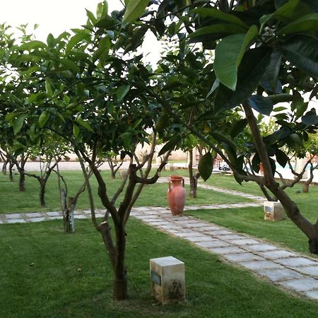 Masseria Li Campi Cavallino di Lecce Eksteriør billede