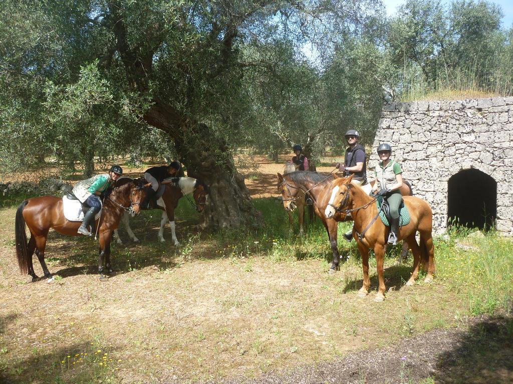 Masseria Li Campi Cavallino di Lecce Eksteriør billede