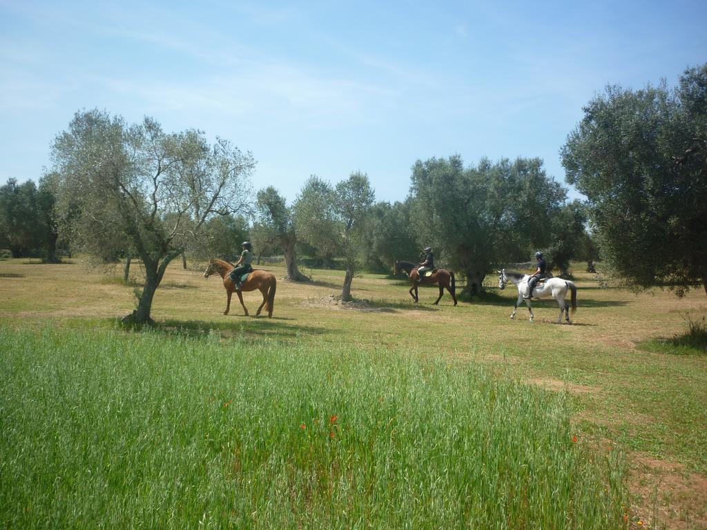 Masseria Li Campi Cavallino di Lecce Eksteriør billede